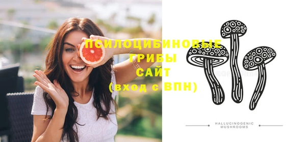 дмт Кинешма