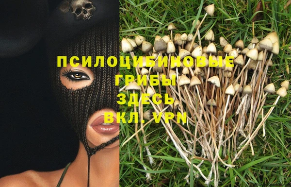 дмт Кинешма