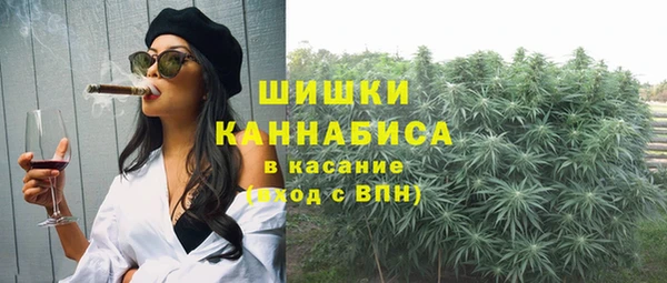 дмт Кинешма