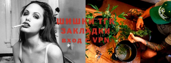 дмт Кинешма
