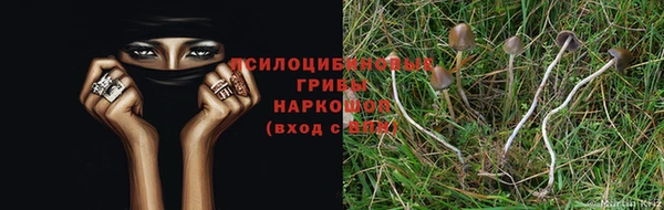 метадон Кодинск